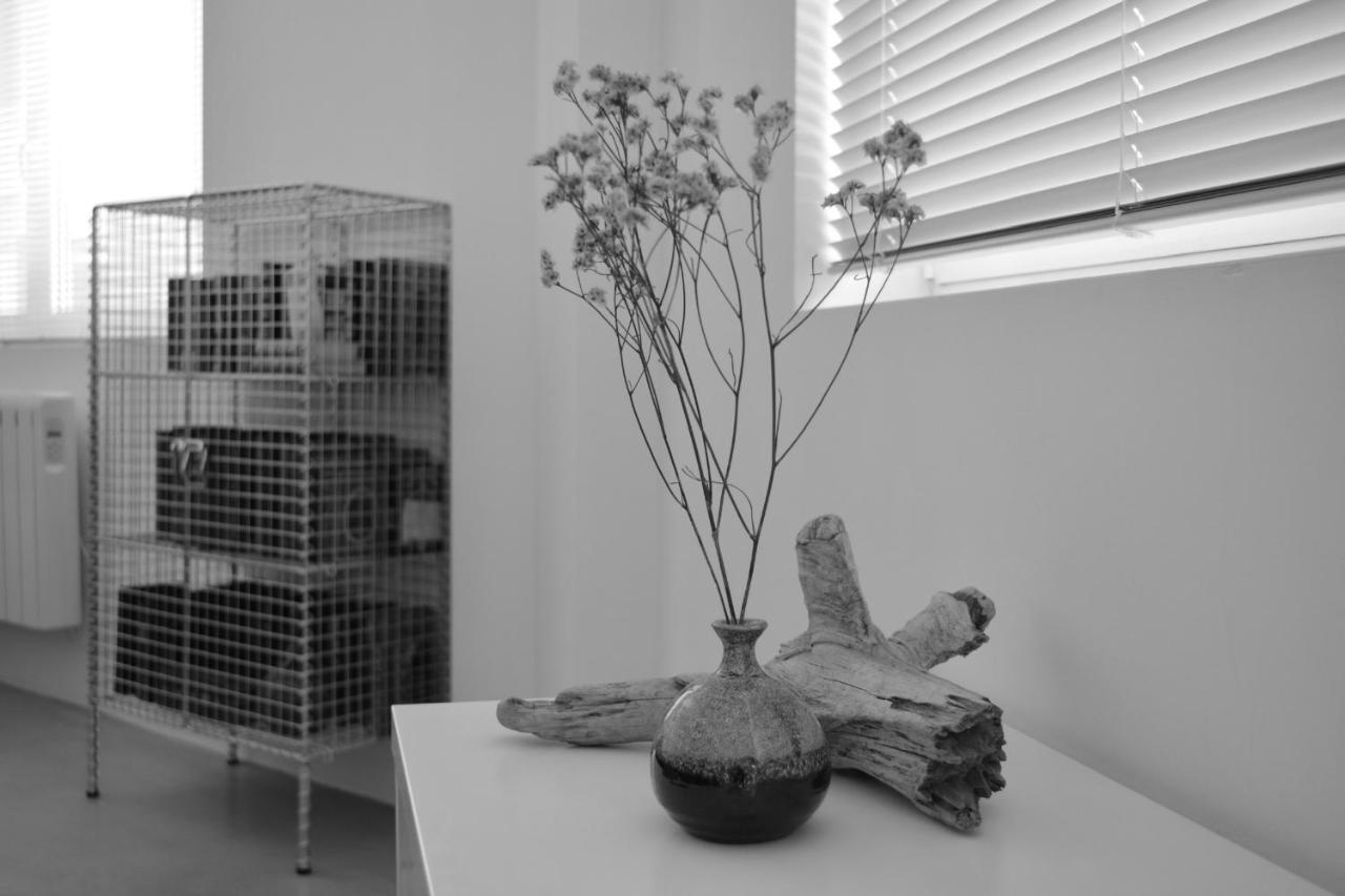 Loft Bed & Breakfast A Coruña Zewnętrze zdjęcie